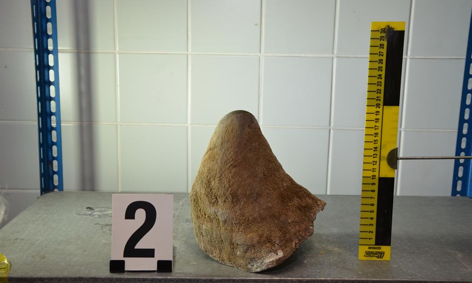 2014-1-15-1346foto 11.JPG